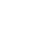 Skyline Nexus Pro - Security